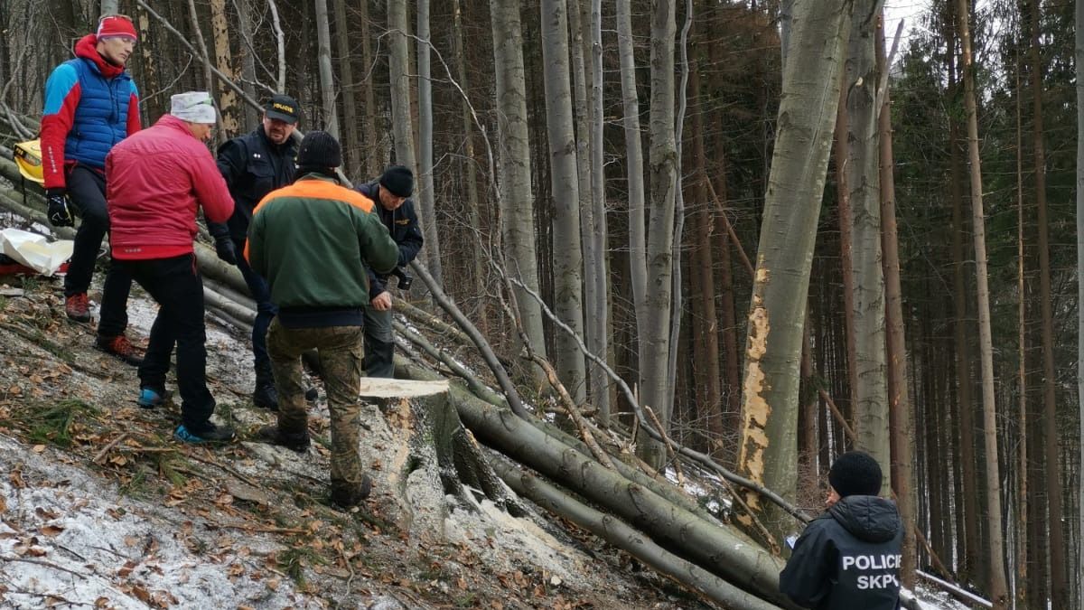 Lesního dělníka v Beskydech zabil strom